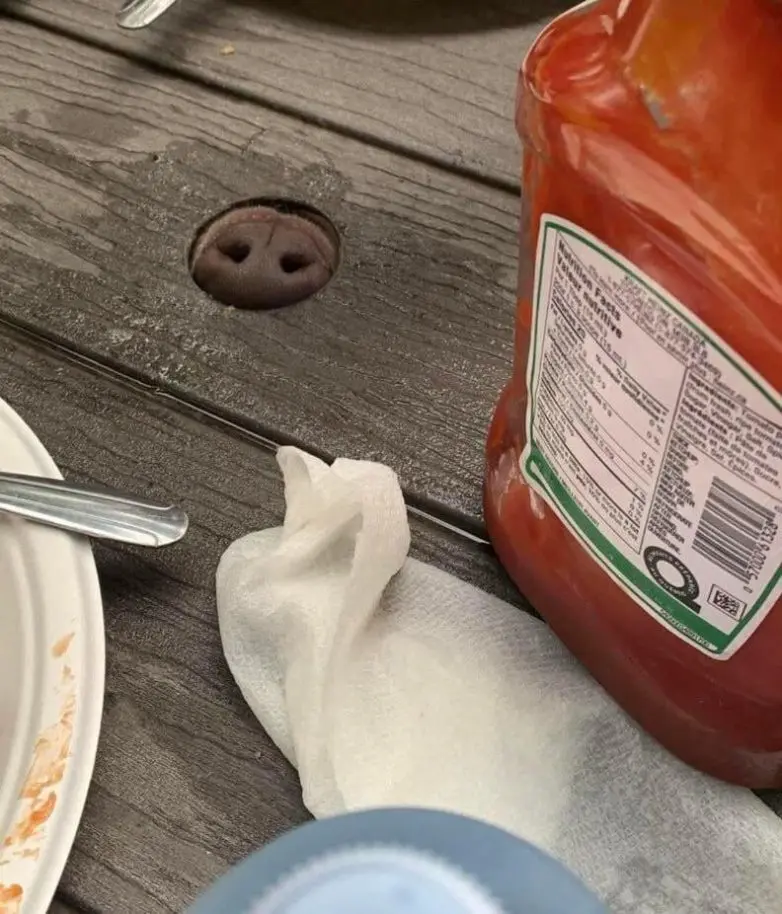 Мир, который умеет дурачиться: 28 фото, от которых становится весело