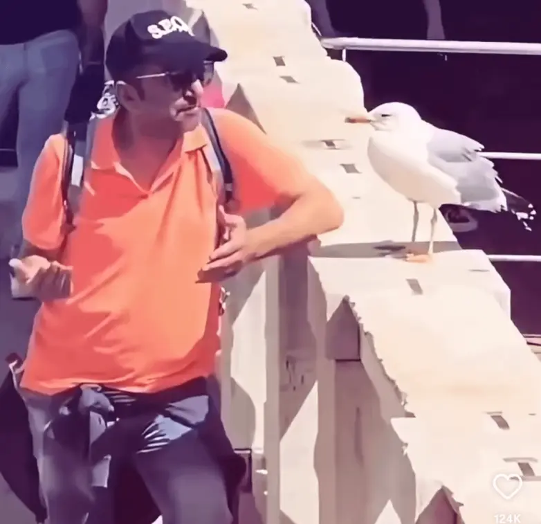 Мир, который умеет дурачиться: 28 фото, от которых становится весело