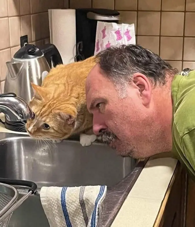 Мир, который умеет дурачиться: 28 фото, от которых становится весело