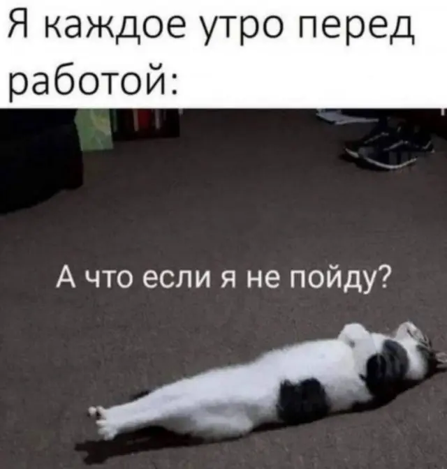 Смех до слёз: лучшие мемы недели для борьбы с хандрой