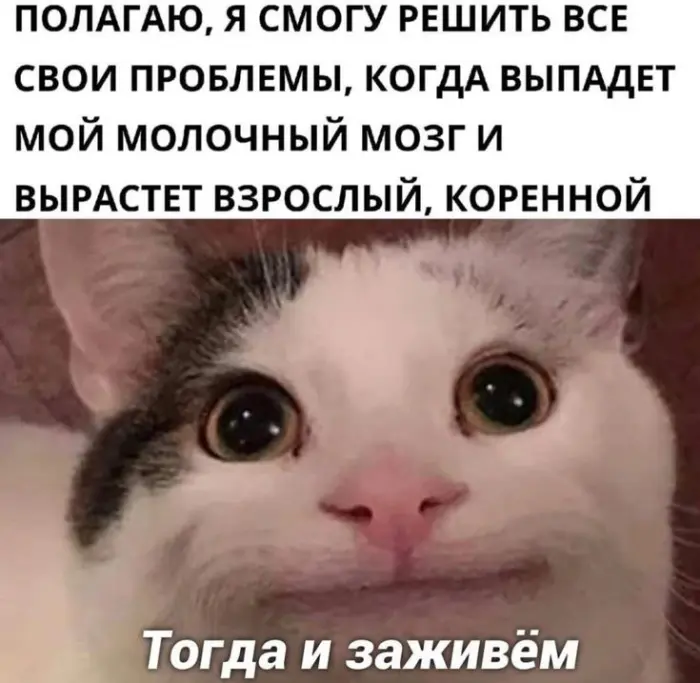 Смех до слёз: лучшие мемы недели для борьбы с хандрой