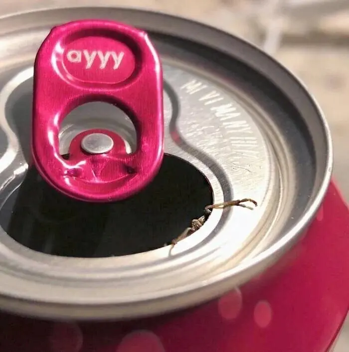 Пустая банка из-под газировки с мёртвой мышью на дне