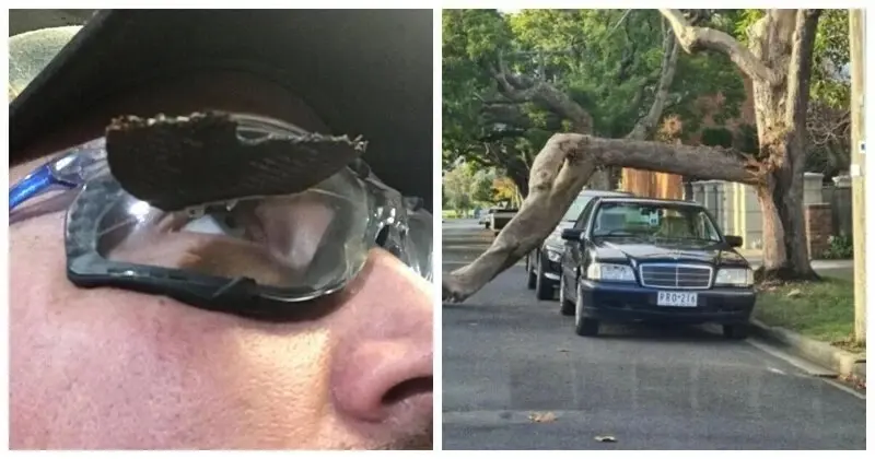 Человек держит в руках четырехлистный клевер