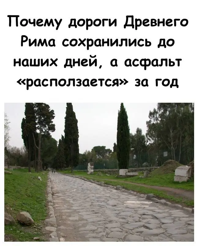 Секрет долговечности римских дорог: почему древние магистрали пережили современный асфальт