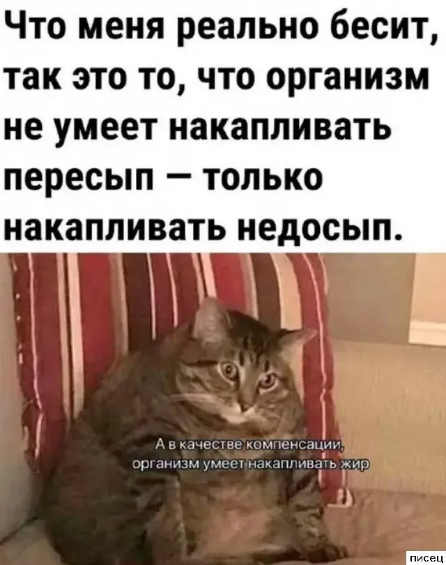 Цитаты, которые точно описывают вашу жизнь и мысли