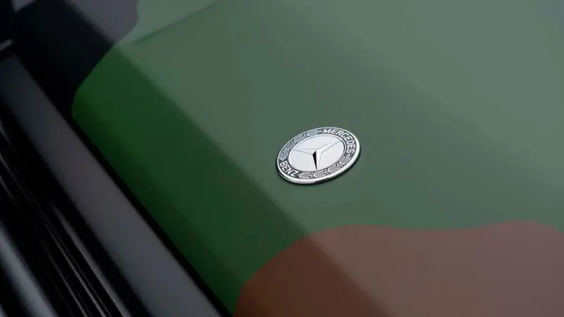 Камуфляжный окрас