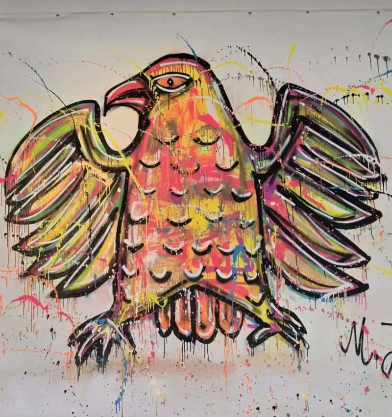 Яркий граффити-орёл Мерца: уличное искусство в стенах Бундестага