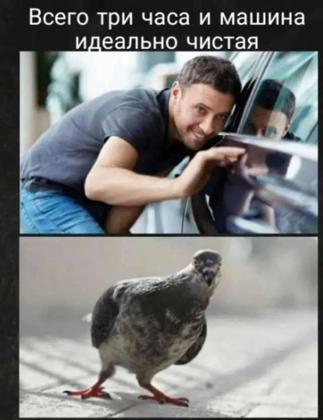 Просто улыбнитесь: подборка картинок для хорошего настроения