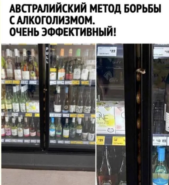 Просто улыбнитесь: подборка картинок для хорошего настроения