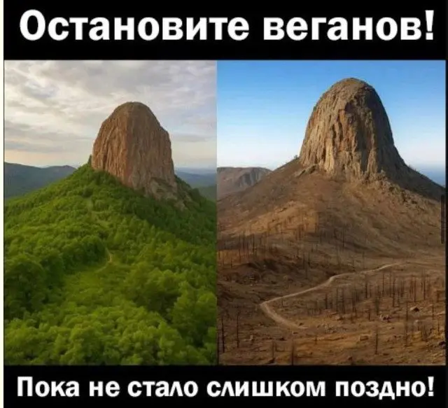 Просто улыбнитесь: подборка картинок для хорошего настроения