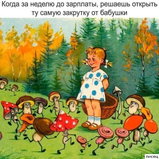 Смешная подборка приколов Писца на тему "Когда"