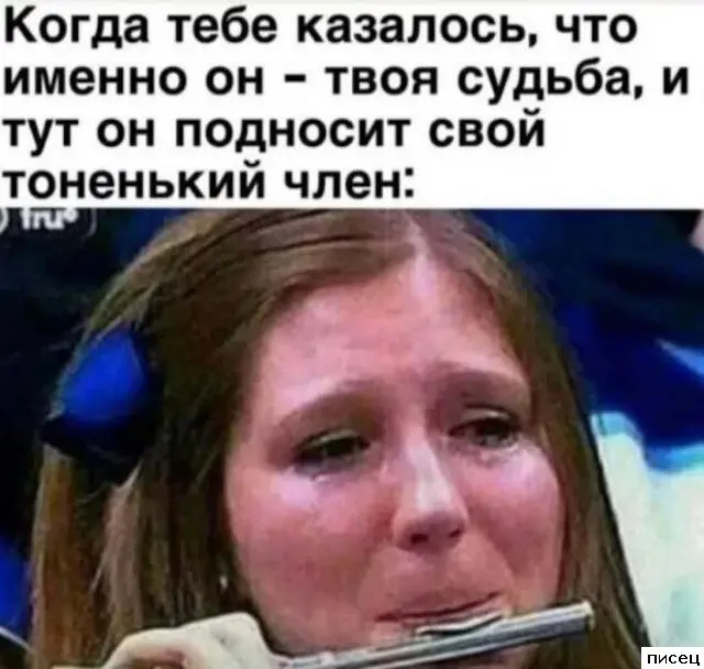 Смешная подборка приколов Писца на тему "Когда"