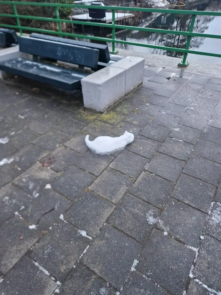 16 удивительных снимков, которые заставят вас взглянуть на мир по-новому