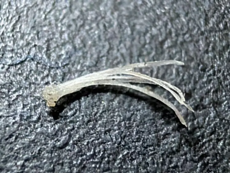 16 удивительных снимков, которые заставят вас взглянуть на мир по-новому