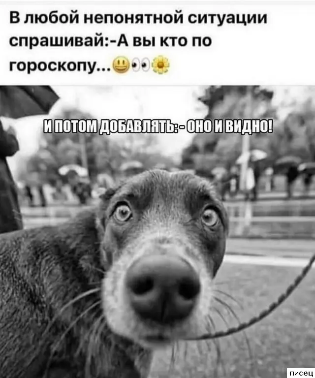 Свежая порция юмора: подборка прикольных картинок