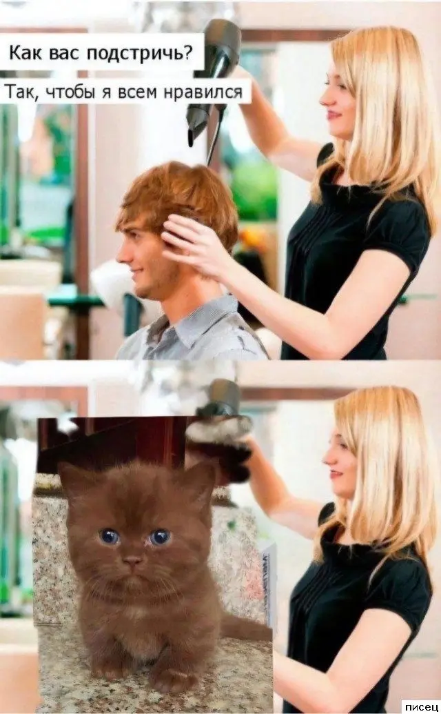 Свежая порция юмора: подборка прикольных картинок