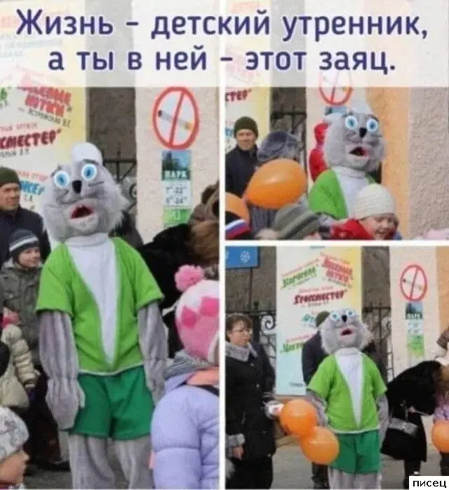 Свежая порция юмора: подборка прикольных картинок