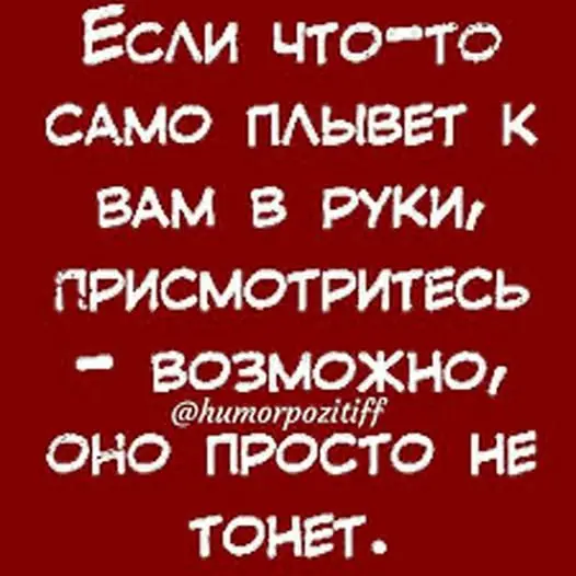 Свежая порция юмора: мемы и прикольные картинки для отличного настроения