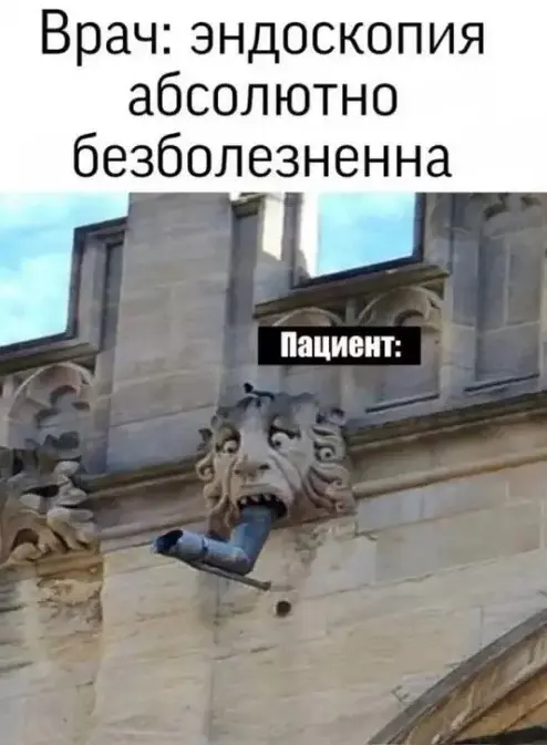 Свежая порция юмора: мемы и прикольные картинки для отличного настроения