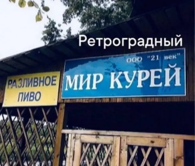 Свежая порция юмора: мемы и прикольные картинки для отличного настроения