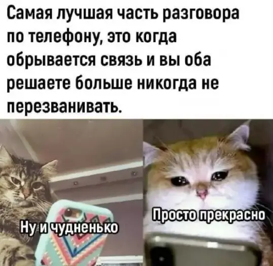 Свежая порция юмора: мемы и прикольные картинки для отличного настроения