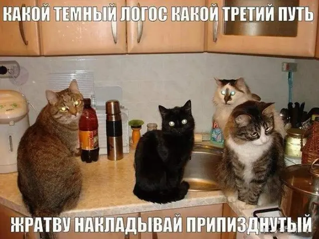 Свежая порция юмора: мемы и прикольные картинки для отличного настроения