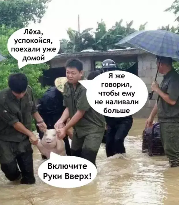 Свежая порция юмора: мемы и прикольные картинки для отличного настроения