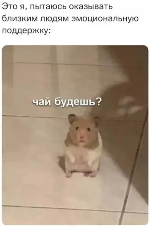 Лучшая подборка мемов для поднятия настроения