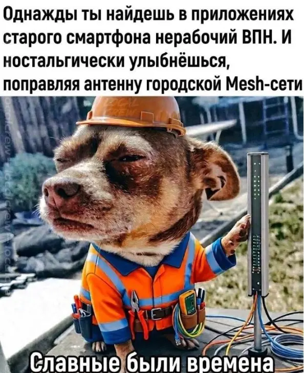 Лучшая подборка мемов для поднятия настроения