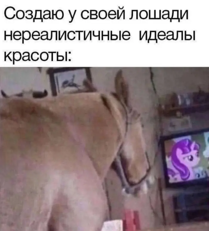 Лучшая подборка мемов для поднятия настроения