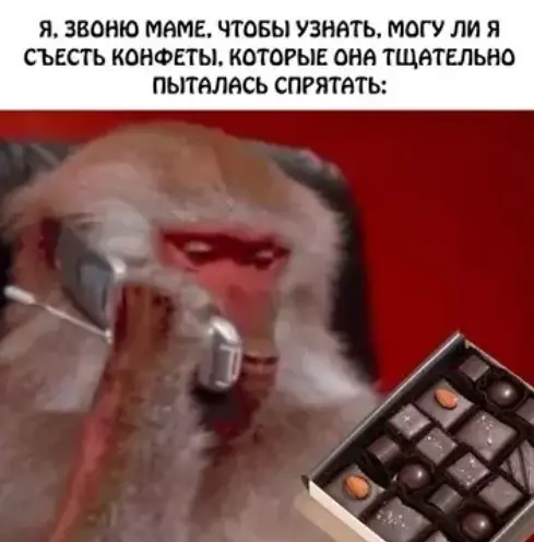 Лучшая подборка мемов для поднятия настроения