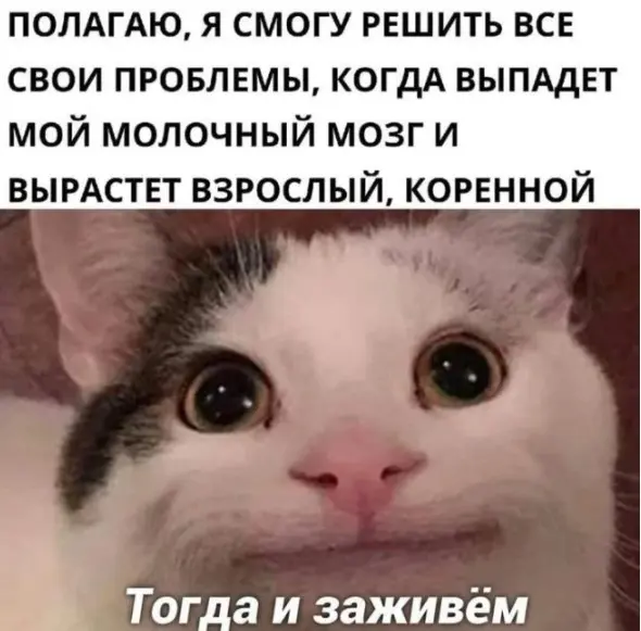 Лучшая подборка мемов для поднятия настроения