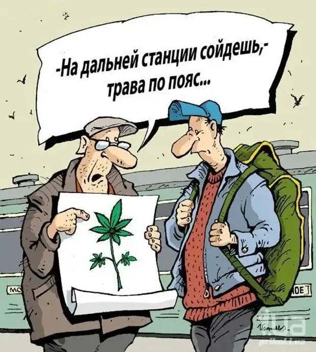 Смешные истории и приколы из жизни