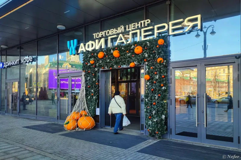 Тайная жизнь московской капибары: от кибербезопасности до сезонных нарядов