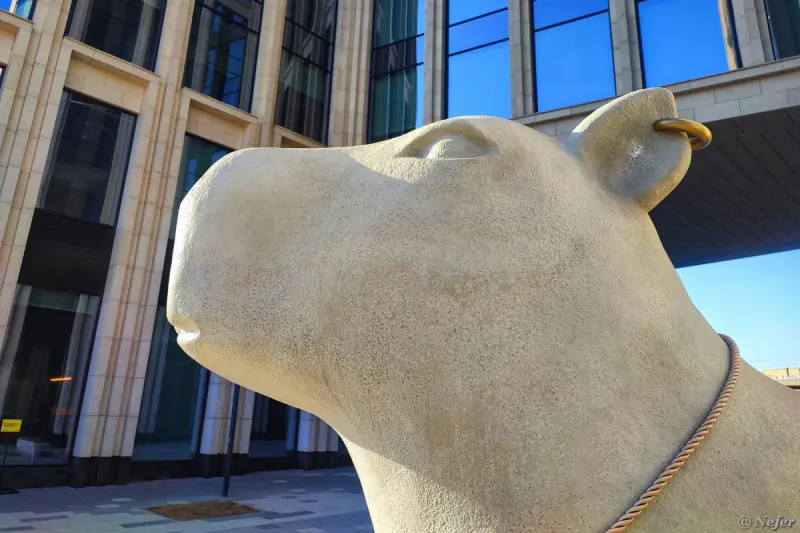 Тайная жизнь московской капибары: от кибербезопасности до сезонных нарядов