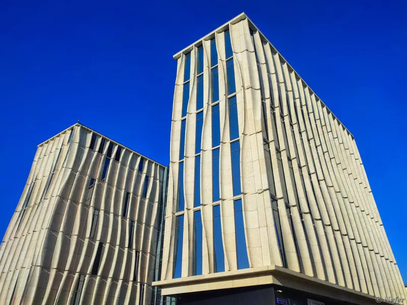 Тайная жизнь московской капибары: от кибербезопасности до сезонных нарядов