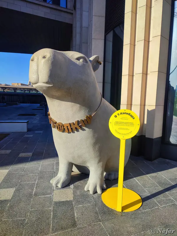 Тайная жизнь московской капибары: от кибербезопасности до сезонных нарядов