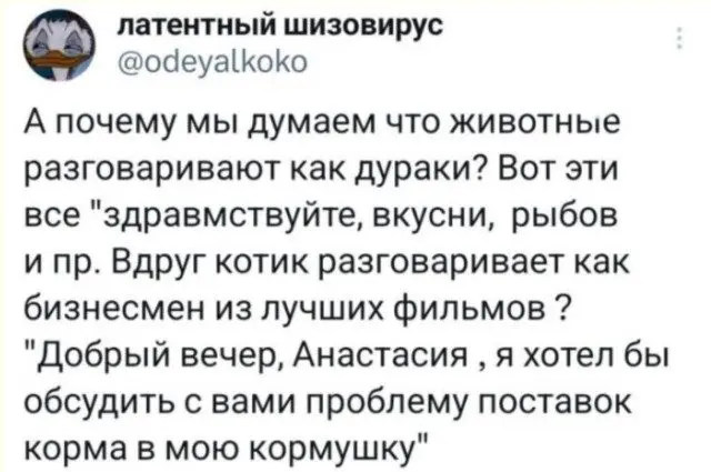 Коктейль из абсурда, жизни и хаоса: подборка приколов