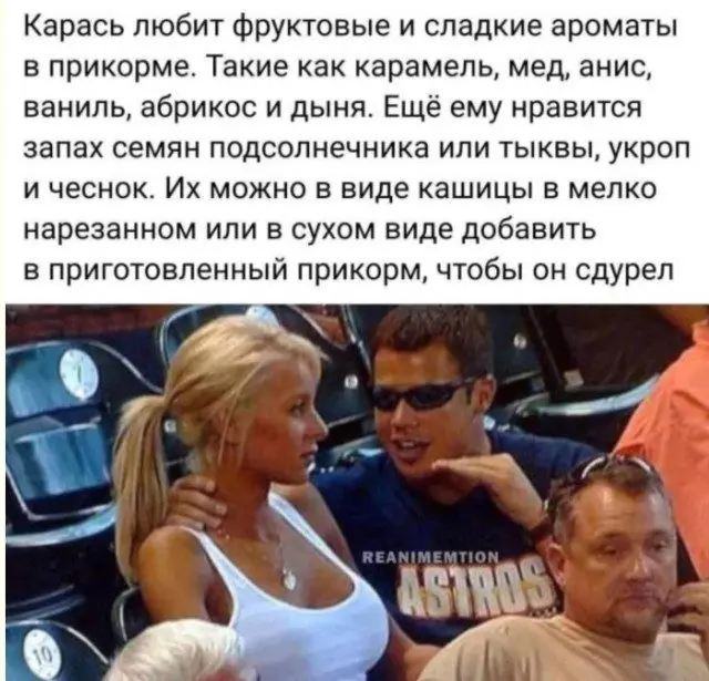 Коктейль из абсурда, жизни и хаоса: подборка приколов