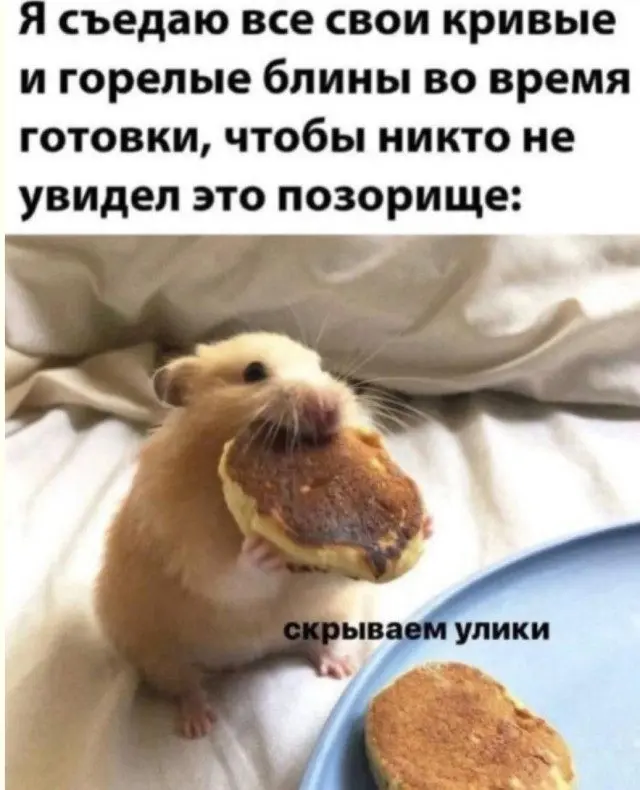 Коктейль из абсурда, жизни и хаоса: подборка приколов