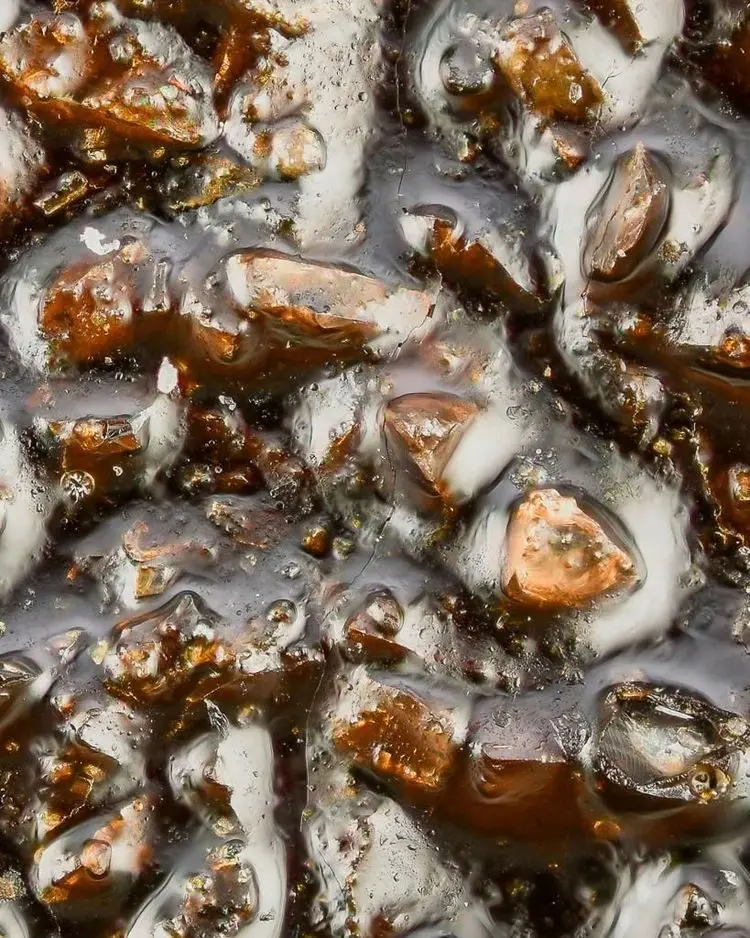 Скрытая вселенная: 17 макроснимков, раскрывающих невидимые детали мира