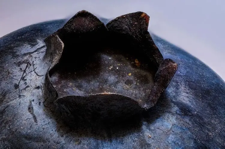 Скрытая вселенная: 17 макроснимков, раскрывающих невидимые детали мира