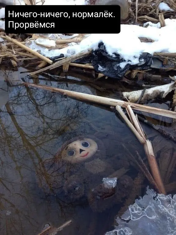 Среда — маленькая пятница: заряжаемся юмором!