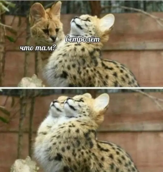 Среда — маленькая пятница: заряжаемся юмором!