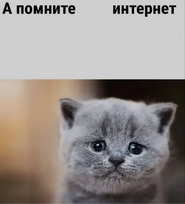 Среда — маленькая пятница: заряжаемся юмором!