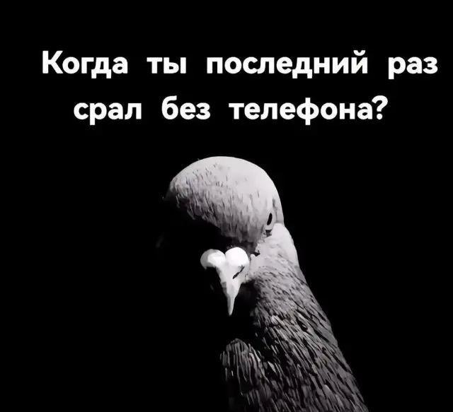 Среда — маленькая пятница: заряжаемся юмором!