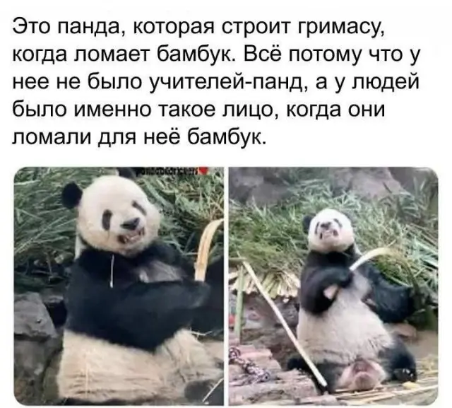 Среда — маленькая пятница: заряжаемся юмором!