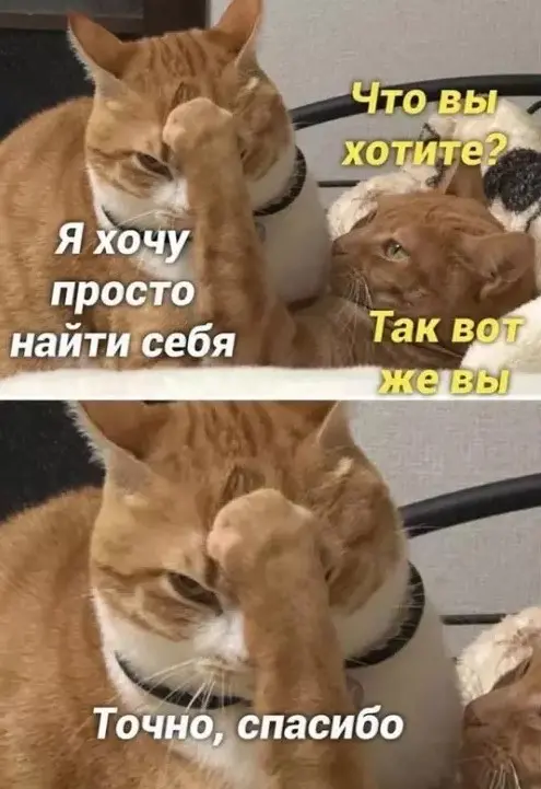 Маленькая пятница уже здесь: поднимаем настроение в середине недели