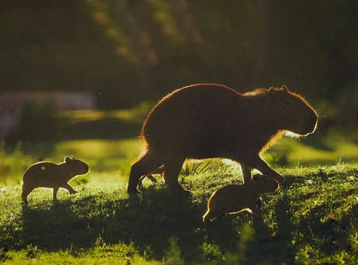 Маленькая пятница уже здесь: поднимаем настроение в середине недели