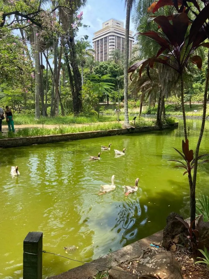 Маленькая пятница уже здесь: поднимаем настроение в середине недели